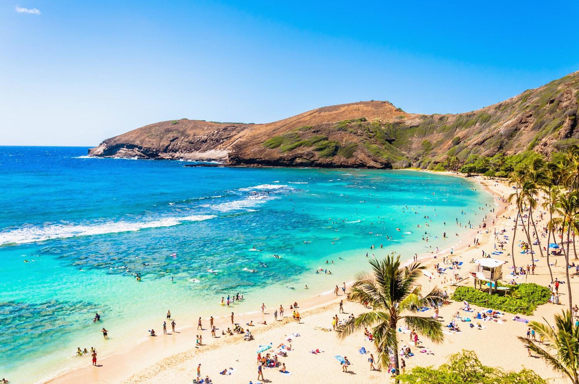 Aloha Vibes With Ocean Views, Near Beach & Parking! Гонолулу Экстерьер фото