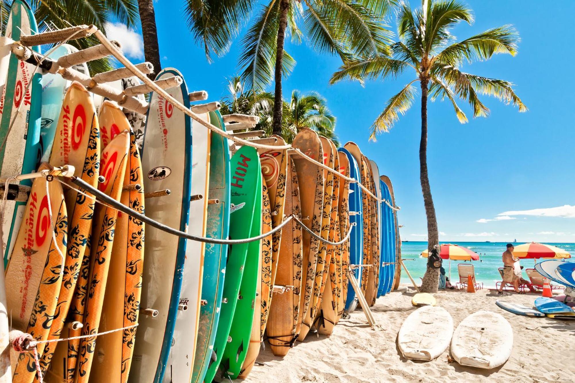 Aloha Vibes With Ocean Views, Near Beach & Parking! Гонолулу Экстерьер фото