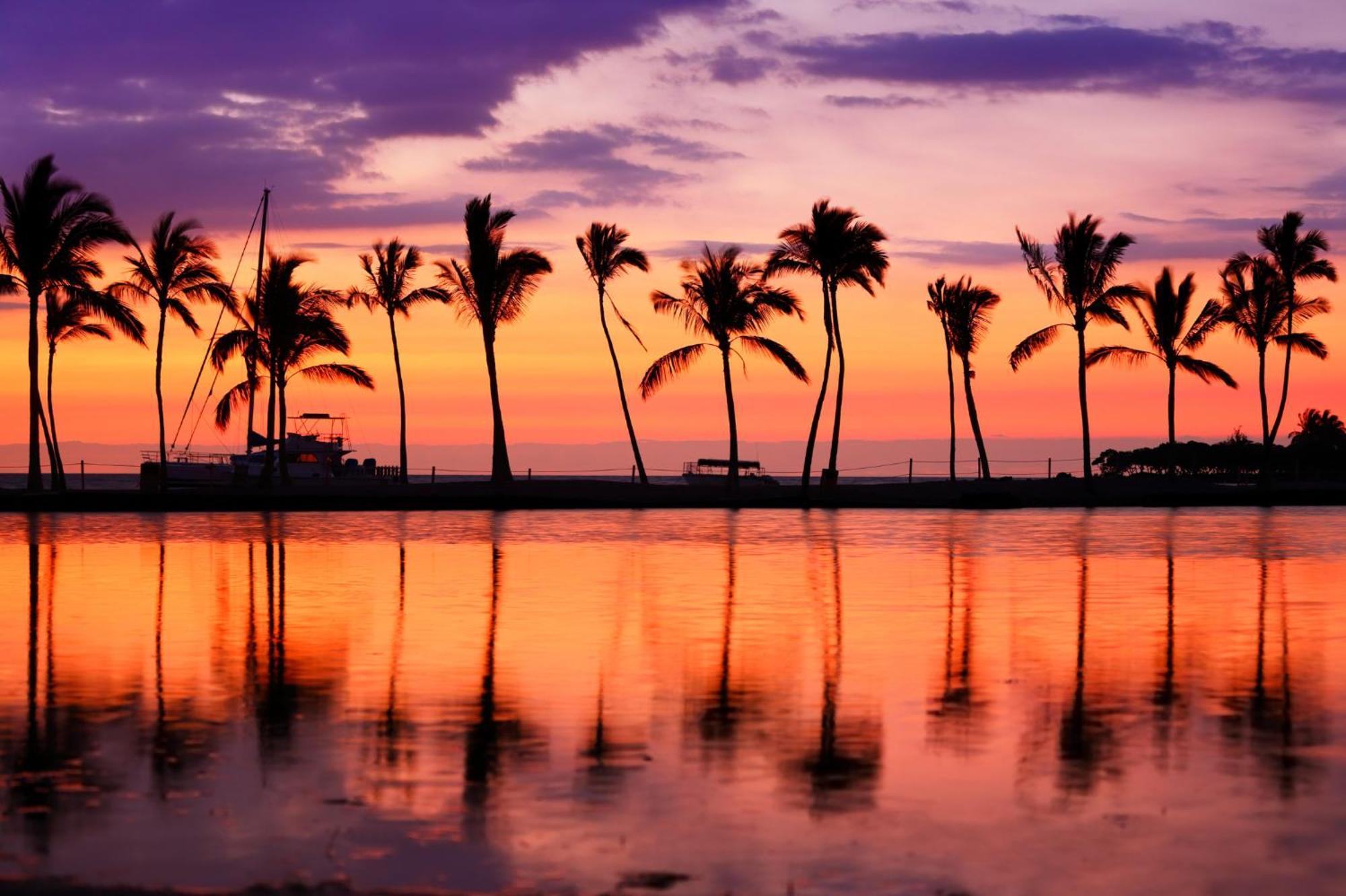 Aloha Vibes With Ocean Views, Near Beach & Parking! Гонолулу Экстерьер фото